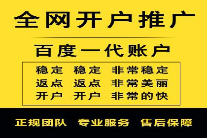 SEM托管公司案例分析：实战技巧全解析